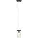 Taos 1 Light 5.5 inch Matte Black/Wood Grain Mini-Pendant Ceiling Light